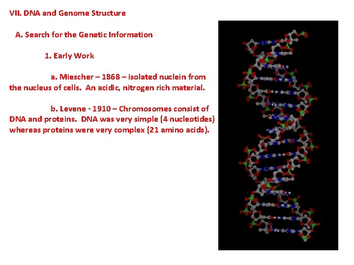 VII. DNA and Genome Structure A. Search for the Genetic Information 1. Early Work