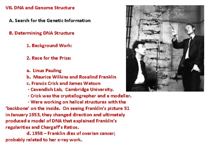 VII. DNA and Genome Structure A. Search for the Genetic Information B. Determining DNA