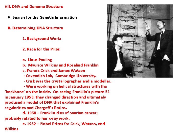 VII. DNA and Genome Structure A. Search for the Genetic Information B. Determining DNA