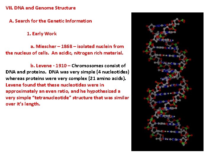 VII. DNA and Genome Structure A. Search for the Genetic Information 1. Early Work