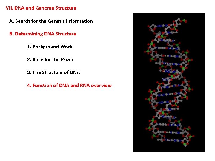 VII. DNA and Genome Structure A. Search for the Genetic Information B. Determining DNA