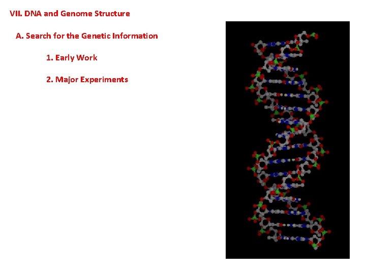 VII. DNA and Genome Structure A. Search for the Genetic Information 1. Early Work