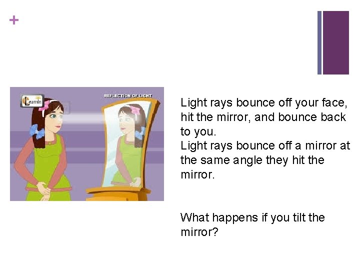 + Light rays bounce off your face, hit the mirror, and bounce back to