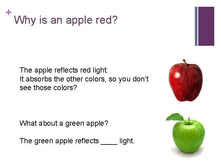 + Why is an apple red? The apple reflects red light. It absorbs the