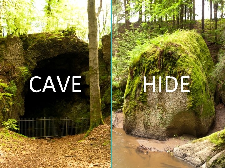 CAVE HIDE 