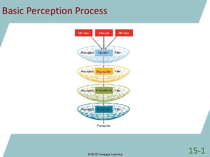 Basic Perception Process © 2015 Cengage Learning 15 -1 