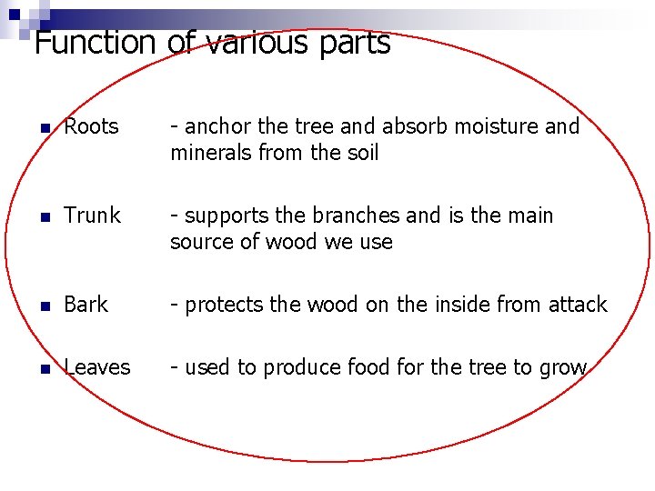 Function of various parts n Roots - anchor the tree and absorb moisture and