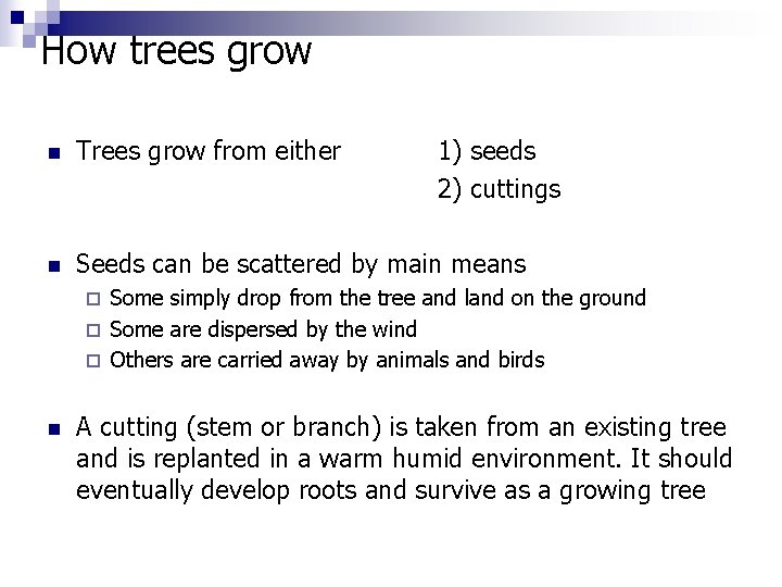How trees grow n Trees grow from either 1) seeds 2) cuttings n Seeds