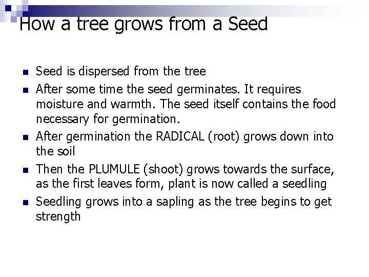 How a tree grows from a Seed n n n Seed is dispersed from