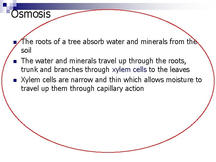 Osmosis n n n The roots of a tree absorb water and minerals from