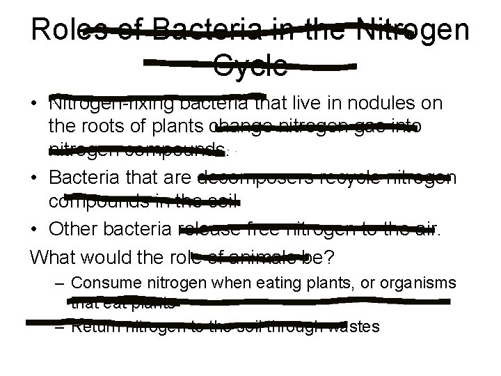 Roles of Bacteria in the Nitrogen Cycle • Nitrogen-fixing bacteria that live in nodules