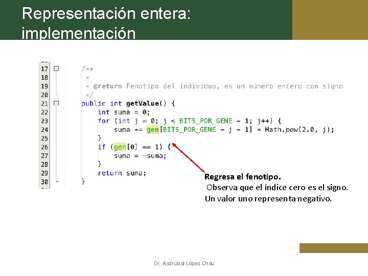 Representación entera: implementación Regresa el fenotipo. Observa que el índice cero es el signo.