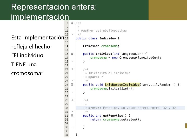 Representación entera: implementación Esta implementación refleja el hecho “El individuo TIENE una cromosoma” Dr.