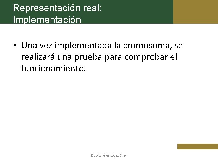 Representación real: Implementación • Una vez implementada la cromosoma, se realizará una prueba para