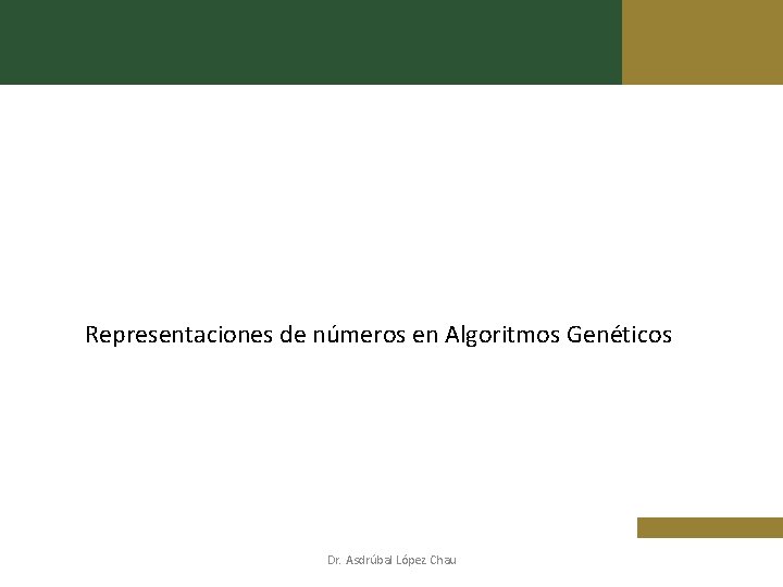 Representaciones de números en Algoritmos Genéticos Dr. Asdrúbal López Chau 