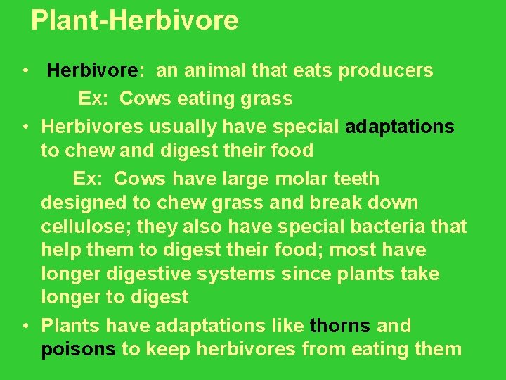 Plant-Herbivore • Herbivore: an animal that eats producers Ex: Cows eating grass • Herbivores