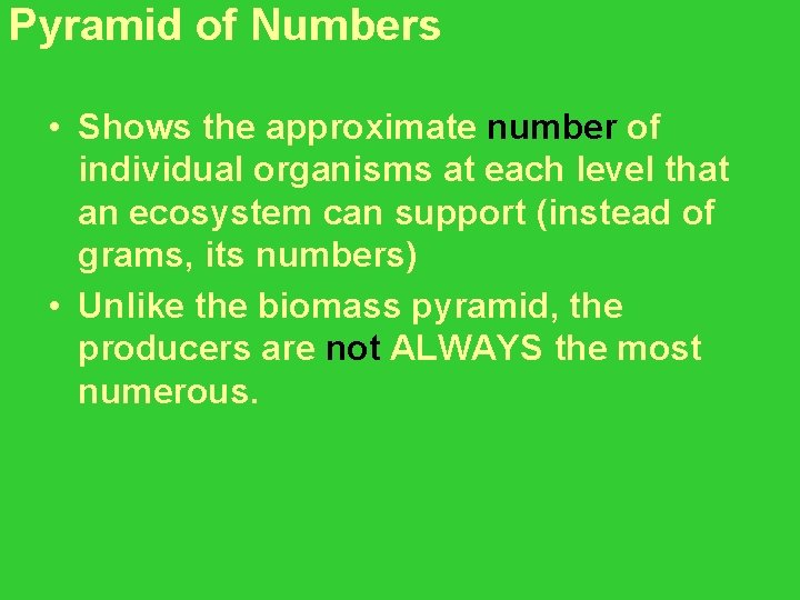 Pyramid of Numbers • Shows the approximate number of individual organisms at each level