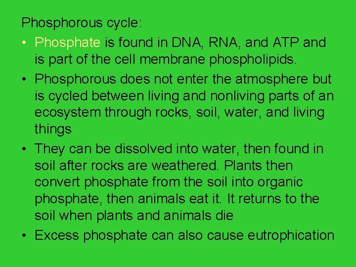 Phosphorous cycle: • Phosphate is found in DNA, RNA, and ATP and is part