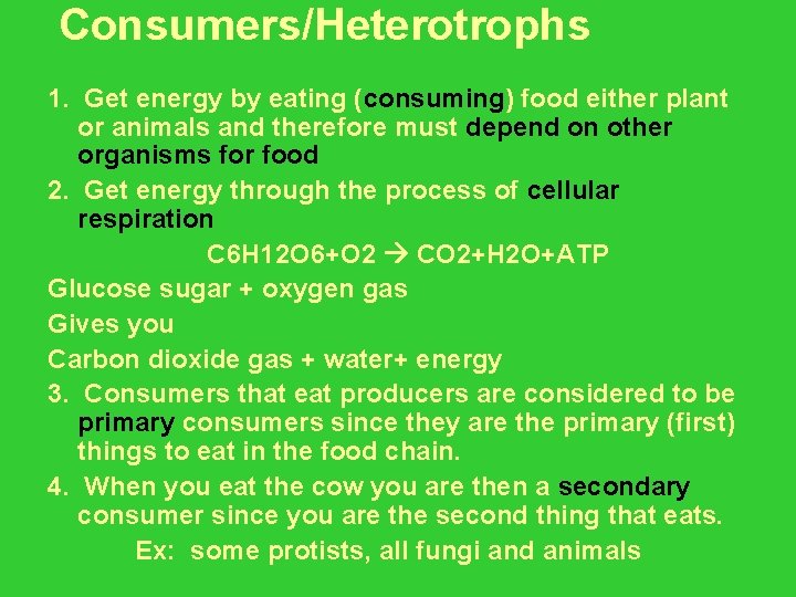 Consumers/Heterotrophs 1. Get energy by eating (consuming) food either plant or animals and therefore