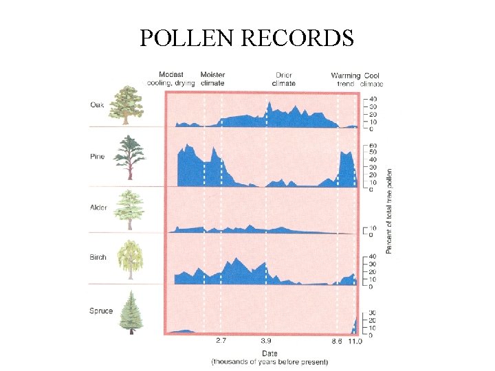 POLLEN RECORDS 