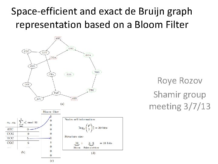 Space-efficient and exact de Bruijn graph representation based on a Bloom Filter Roye Rozov