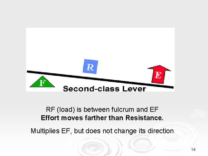 RF (load) is between fulcrum and EF Effort moves farther than Resistance. Multiplies EF,