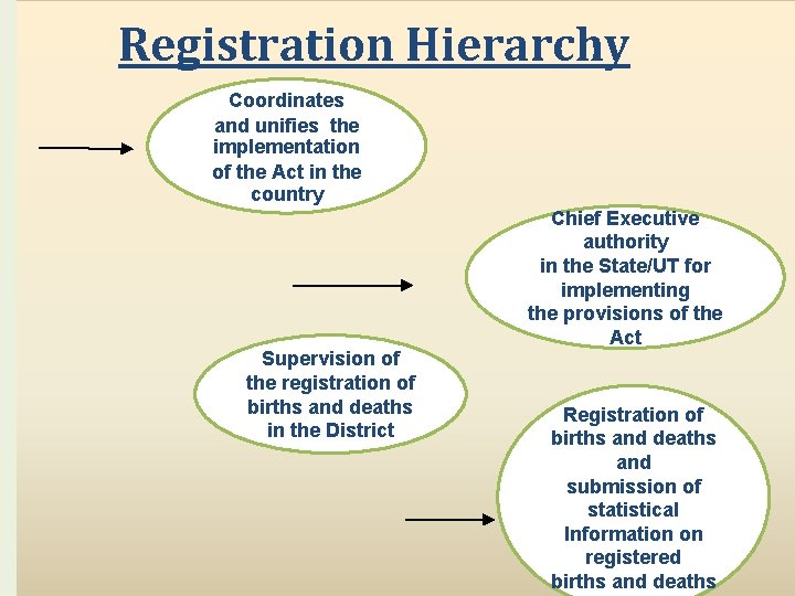 Registration Hierarchy Coordinates and unifies the implementation of the Act in the country Supervision