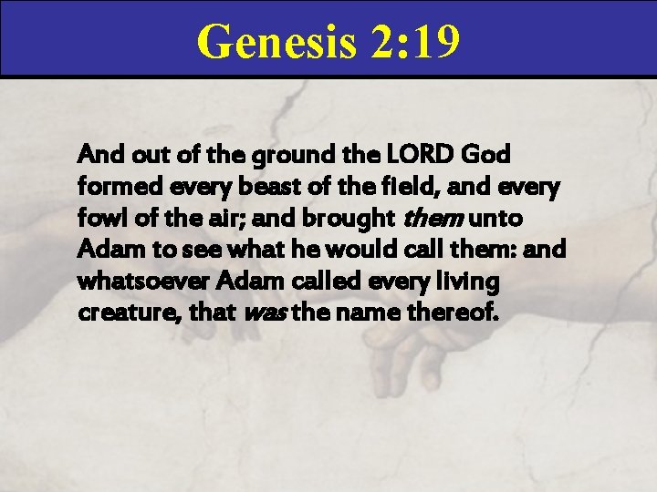 Genesis 2: 19 And out of the ground the LORD God formed every beast