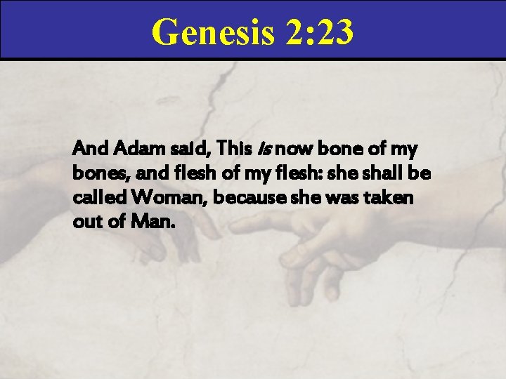 Genesis 2: 23 And Adam said, This is now bone of my bones, and