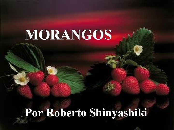 MORANGOS Por Roberto Shinyashiki 