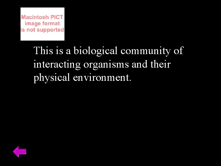 This is a biological community of interacting organisms and their physical environment. 