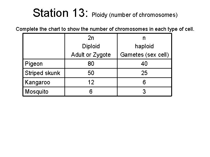 Station 13: Ploidy (number of chromosomes) Complete the chart to show the number of