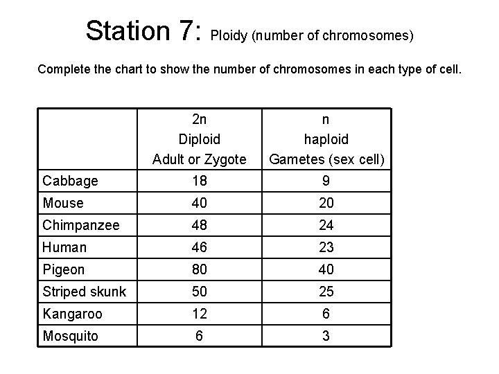 Station 7: Ploidy (number of chromosomes) Complete the chart to show the number of