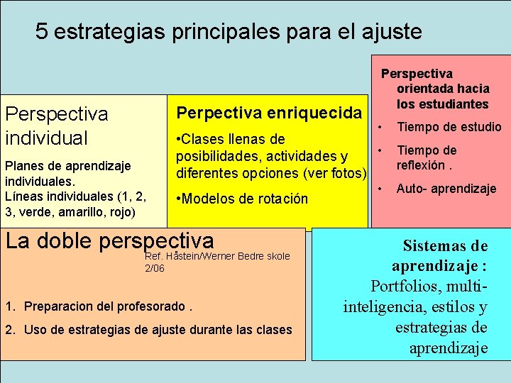 5 estrategias principales para el ajuste Perpectiva enriquecida Perspectiva individual Planes de aprendizaje individuales.