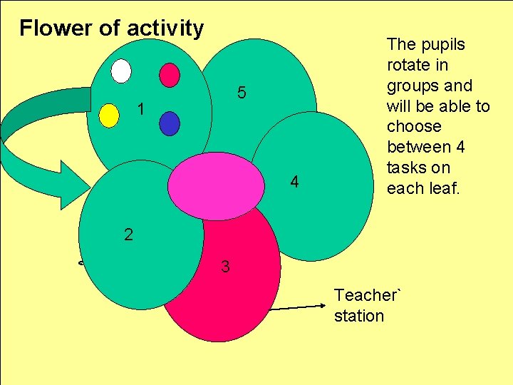 Flower of activity 5 1 4 The pupils rotate in groups and will be