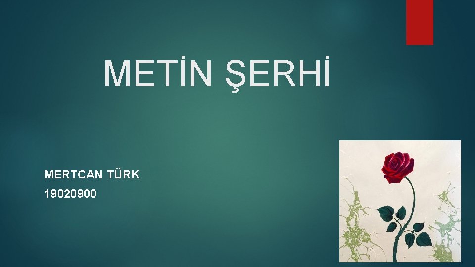 METİN ŞERHİ MERTCAN TÜRK 19020900 