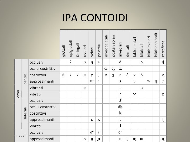 IPA CONTOIDI 