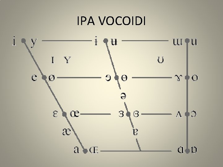 IPA VOCOIDI 