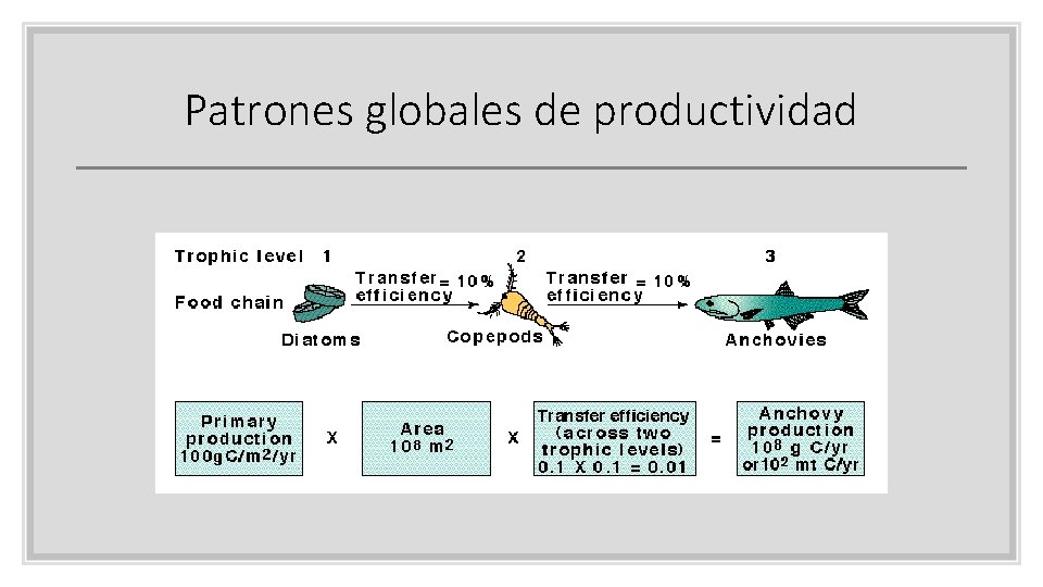 Patrones globales de productividad 