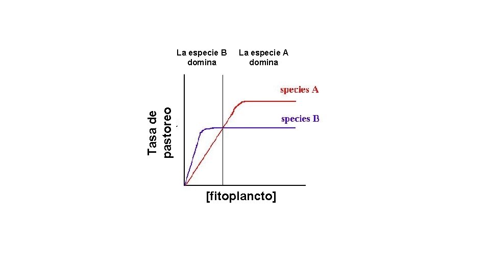 La especie A domina Tasa de pastoreo La especie B domina [fitoplancto] 