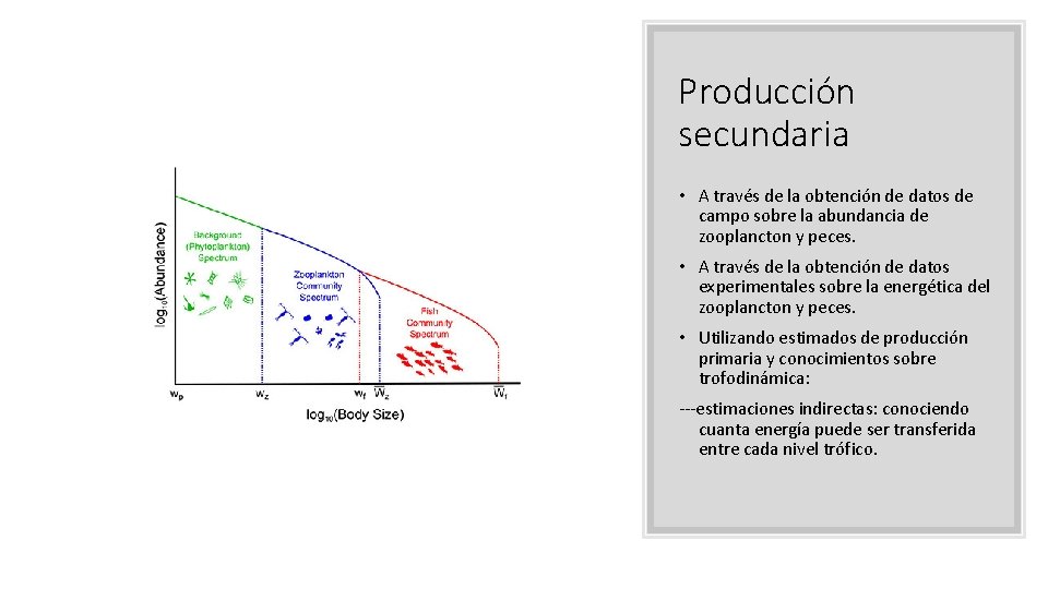 Producción secundaria • A través de la obtención de datos de campo sobre la