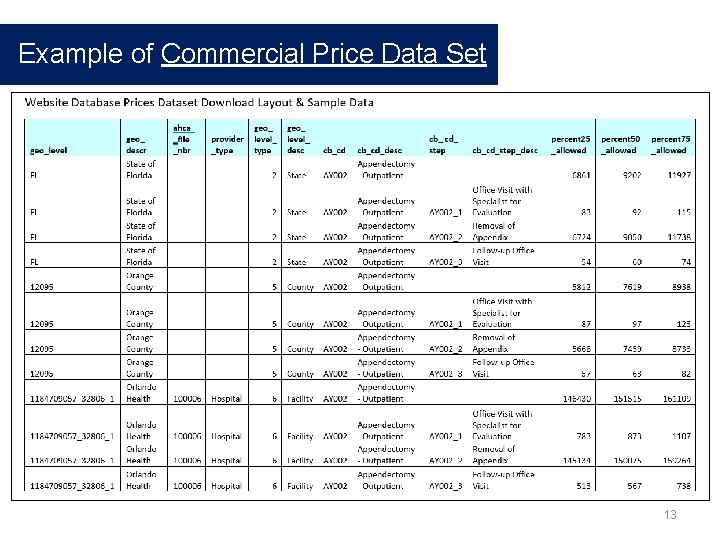 Example of Commercial Price Data Set 13 