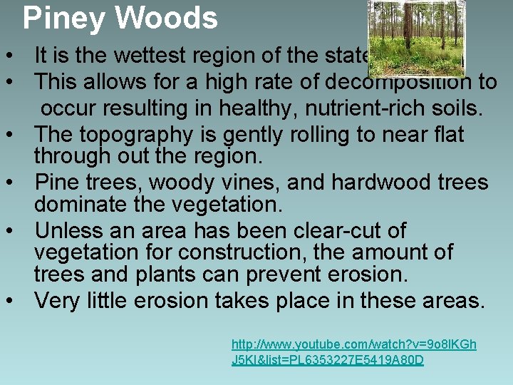 Piney Woods • It is the wettest region of the state. • This allows