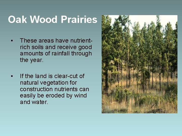 Oak Wood Prairies • These areas have nutrientrich soils and receive good amounts of