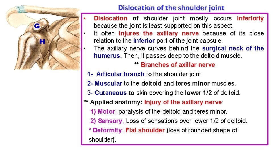 Dislocation of the shoulder joint G H • Dislocation of shoulder joint mostly occurs Dislocation of the shoulder joint G H • Dislocation of shoulder joint mostly occurs