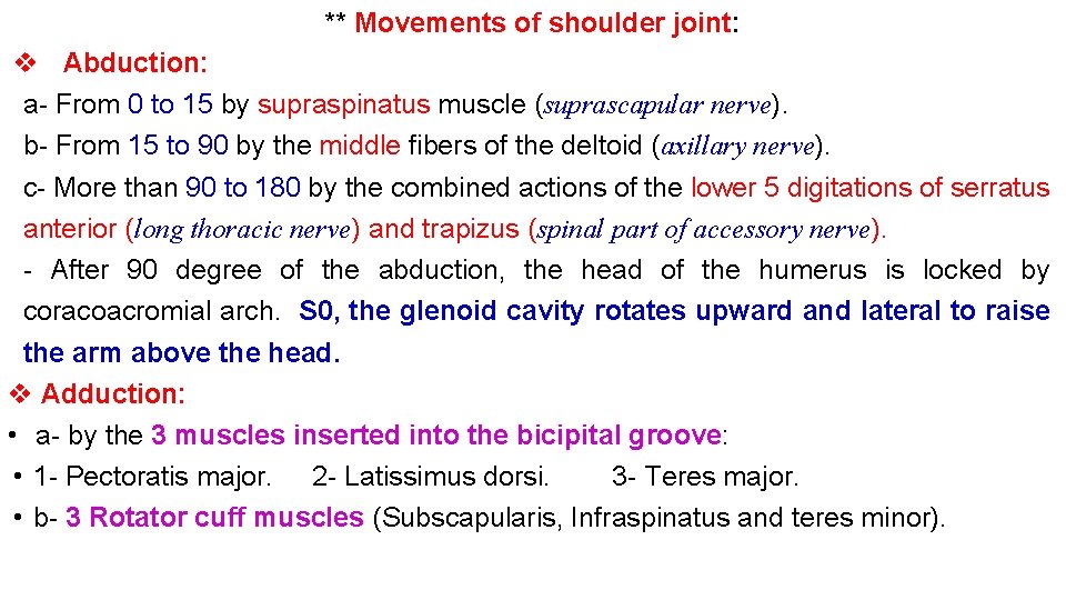 ** Movements of shoulder joint: v Abduction: a From 0 to 15 by supraspinatus ** Movements of shoulder joint: v Abduction: a From 0 to 15 by supraspinatus