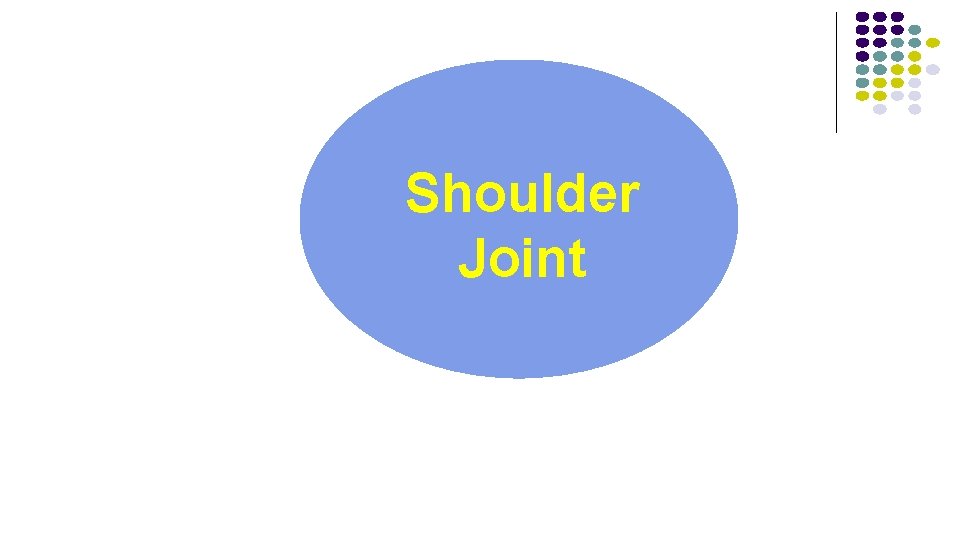 Shoulder Joint Shoulder Joint
