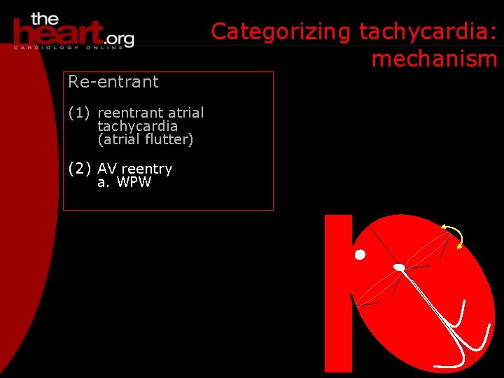 Re-entrant (1) reentrant atrial tachycardia (atrial flutter) (2) AV reentry a. WPW Categorizing tachycardia: