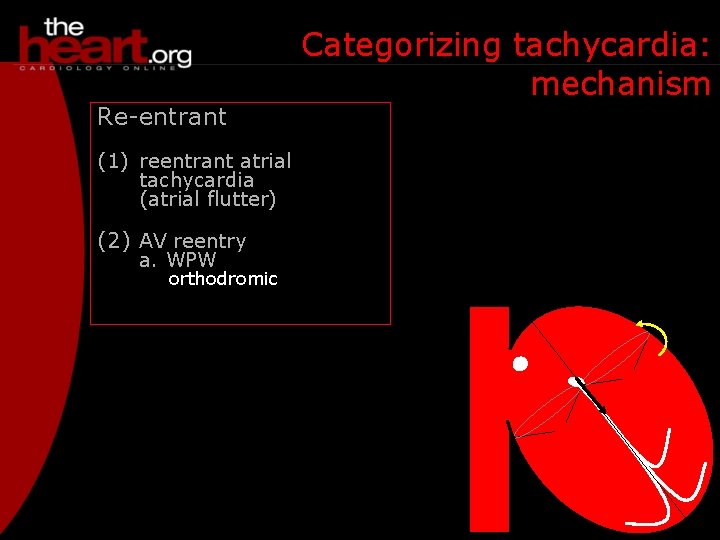 Re-entrant (1) reentrant atrial tachycardia (atrial flutter) (2) AV reentry a. WPW orthodromic Categorizing