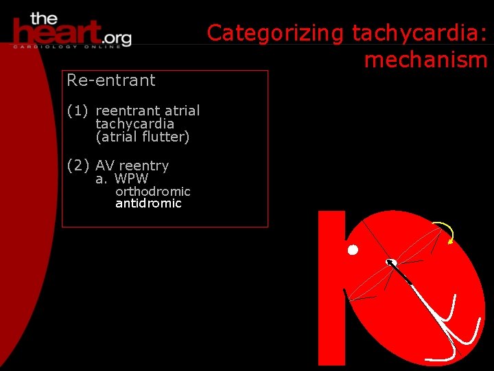 Re-entrant (1) reentrant atrial tachycardia (atrial flutter) (2) AV reentry a. WPW orthodromic antidromic